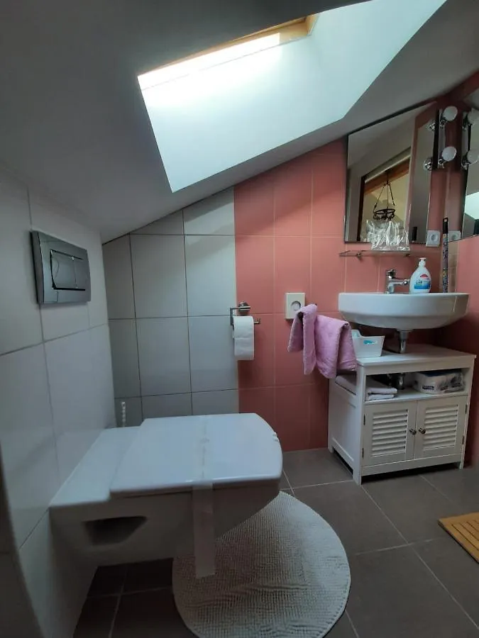Apartment Mamut Premantura Croatia